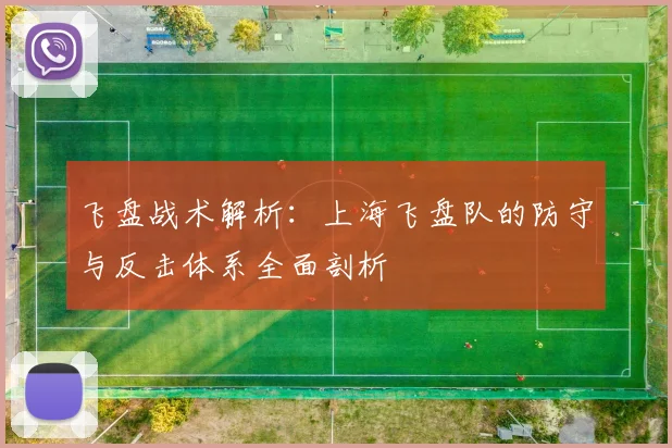 飞盘战术解析：上海飞盘队的防守与反击体系全面剖析